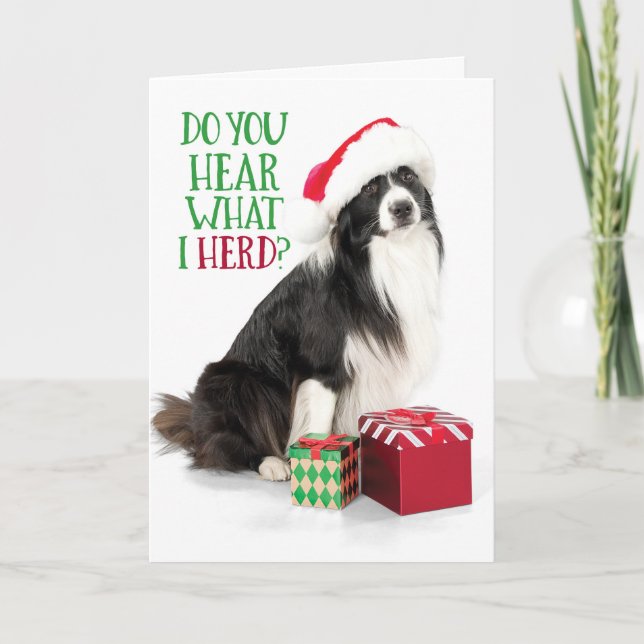 Tarjeta Festiva Collie de borde de rebaño con regalos de Navidades (Anverso)