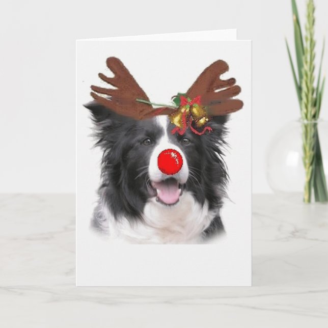 Tarjeta Festiva Collie Ditzy de Dogs~Original Notecard~Border (Anverso)