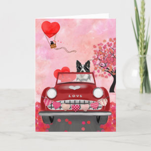Tarjeta Festiva Collie Fronteriza conduciendo auto con corazones d