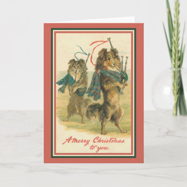 Tarjeta Festiva Collies jugando Bagpipes (Anverso)