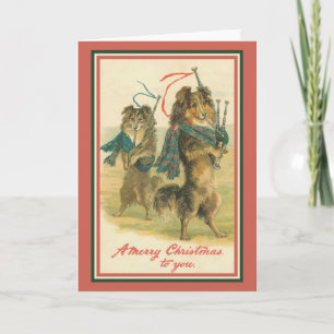 Tarjeta Festiva Collies jugando Bagpipes