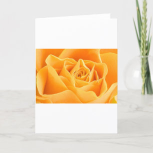 TARJETA FESTIVA COLOR DE ROSA ANARANJADO