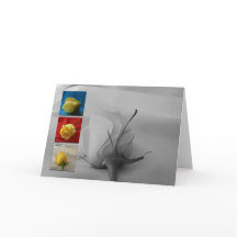 Color de rosa Tarjeta-Blanco del el día de San