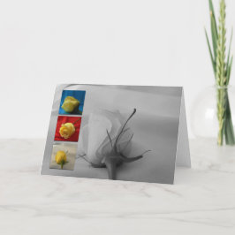 Tarjeta Festiva Color de rosa Tarjeta-Blanco del el día de San