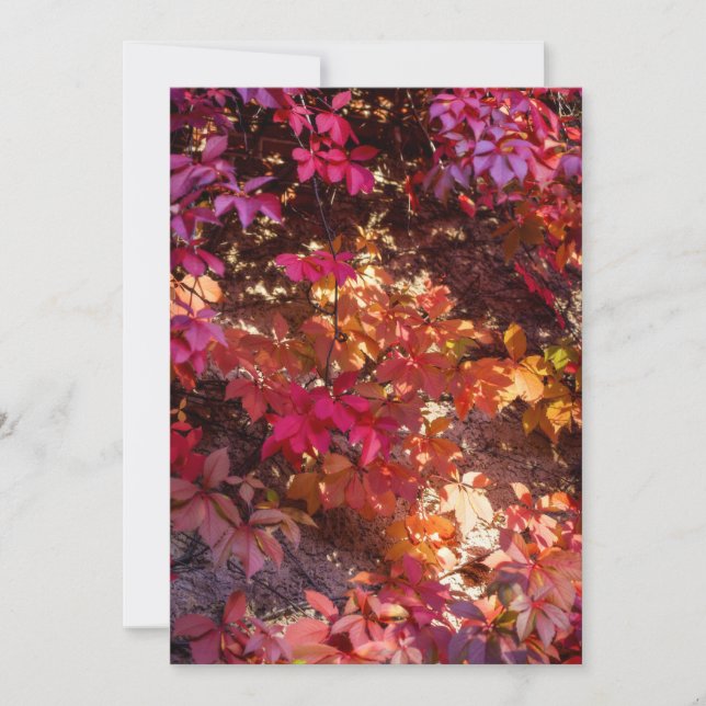 Tarjeta Festiva Colorful autumn leaves (Anverso)