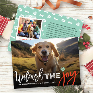 Tarjeta Festiva Colorido Desata La Alegría Del Perro Perro Perro P