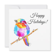 Colourful Little Bird