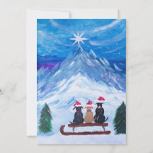 Compañeros de cachorro de invierno