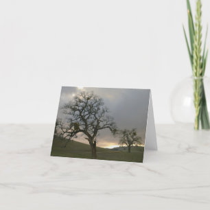 Tarjeta Festiva Compañeros del árbol: Robles del invierno con el