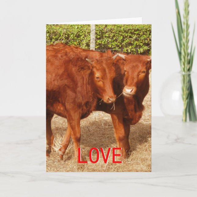 Tarjeta Festiva Compartir amor (Anverso)