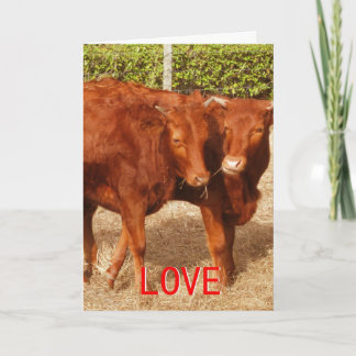 Tarjeta Festiva Compartir amor