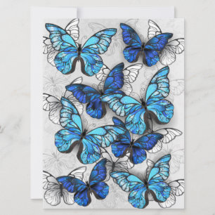 Tarjeta Festiva Composición de las mariposas blancas y azules