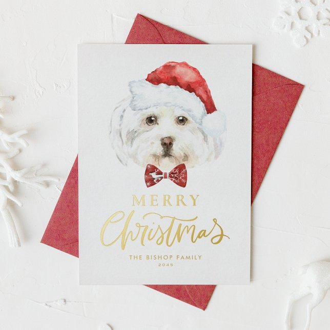 Tarjeta Festiva Con Relieve Metalizado Acuarela Cuida Navidad maltesa Santa Merry (Subido por el creador)