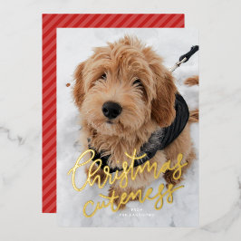 Tarjeta Festiva Con Relieve Metalizado Cuteza de Navidad en una foto mascota linda