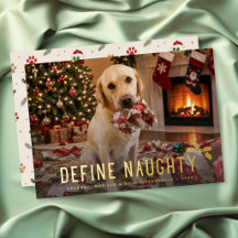 Definir divertida foto de Navidad de Naughty Dog