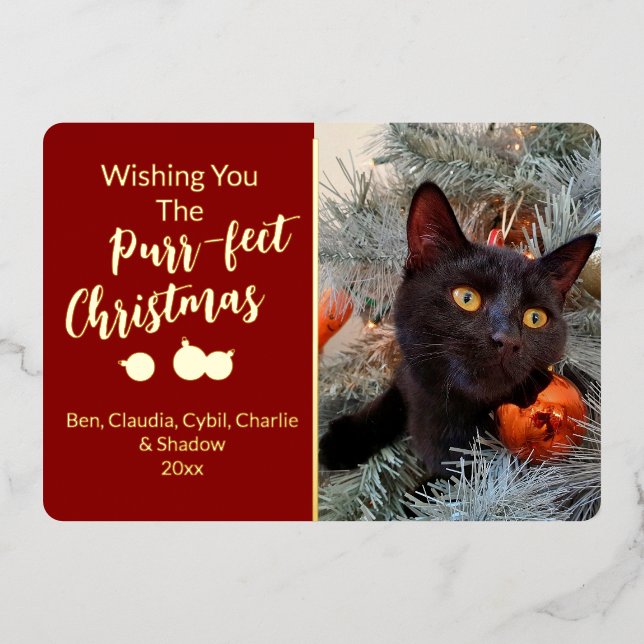 Tarjeta Festiva Con Relieve Metalizado Deseándote la foto de gato de los Navidades puros (Anverso)