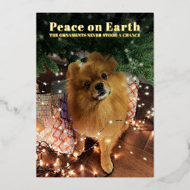 Tarjeta Festiva Con Relieve Metalizado Divertido perro pomerania Navidad Paz en la Tierra