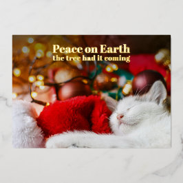Tarjeta Festiva Con Relieve Metalizado Diviértete Navidad Gato Durmiendo Paz en la Tierra