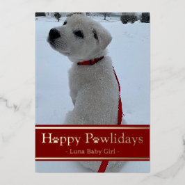 Tarjeta Festiva Con Relieve Metalizado Felices Pawlidays