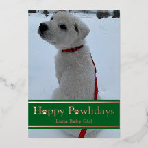 Felices Pawlidays