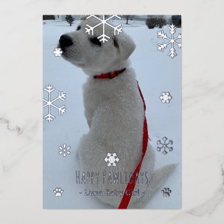 Tarjeta Festiva Con Relieve Metalizado Felices Pawlidays