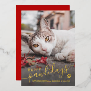 Tarjeta Festiva Con Relieve Metalizado Feliz Pawlidays Foto de Gato Mascota Rojo Navidad 
