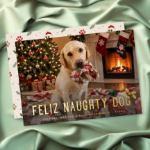 Feliz Perro Travieso Foto Divertida Navidad