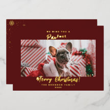Foto de mascota festiva de Navidad con lámina metá