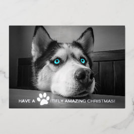 Tarjeta Festiva Con Relieve Metalizado Foto de perro Personalizado de Navidades inquietan