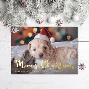 Tarjeta Festiva Con Relieve Metalizado Fun Merry Christmas Mascota Photo