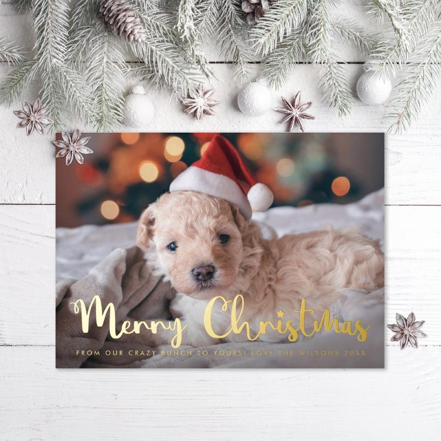 Tarjeta Festiva Con Relieve Metalizado Fun Merry Christmas Mascota Photo (Subido por el creador)
