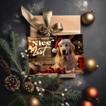 Lista Divertida Perro Mascota Navidad Fiesta