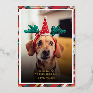 Tarjeta Festiva Con Relieve Metalizado Navidad Foto Divertida de Perro a Cuadros