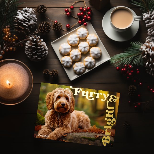 Tarjeta Festiva Con Relieve Metalizado Navidades Mascotas de peluche y perro brillante mo (Funny Furry & Bright Dog Pet Christmas Modern Foil Holiday Card)