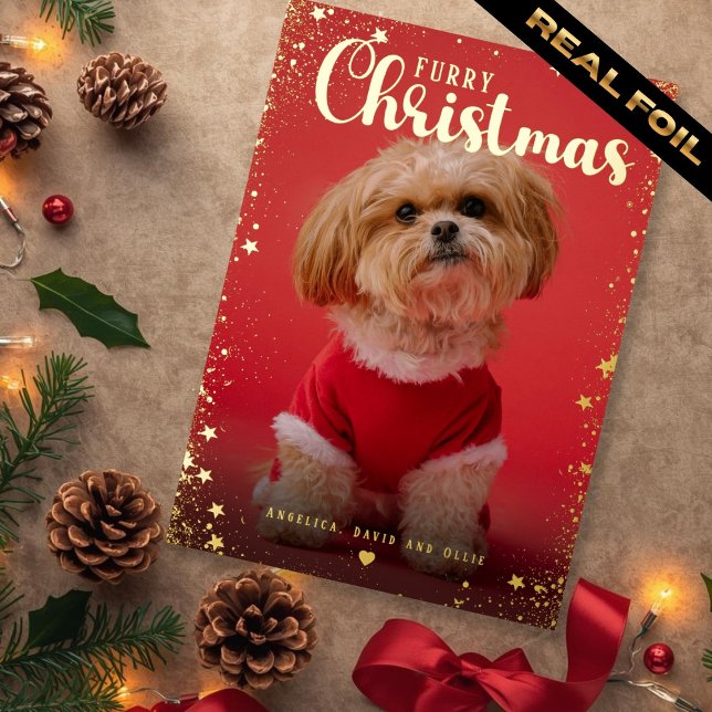 Tarjeta Festiva Con Relieve Metalizado Pet Photo Golden Star Frame  (Pet Photo Golden Star Frame Foil Holiday Card)