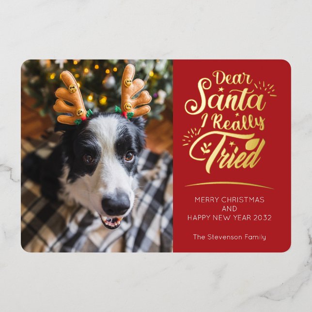 Tarjeta Festiva Con Relieve Metalizado Querido Papá Noel probé tres fotos del perro Navid (Anverso)
