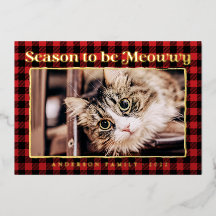 Saludos de Temporada Cuadro Divertido Gato Mascota