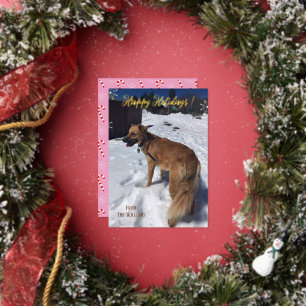 Tarjeta Festiva Con Relieve Metalizado Tarjeta de vacaciones con foto de perro vertical d