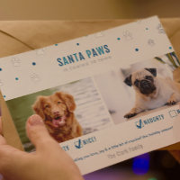 Tarjeta fotográfica de dos perros para Relieve met