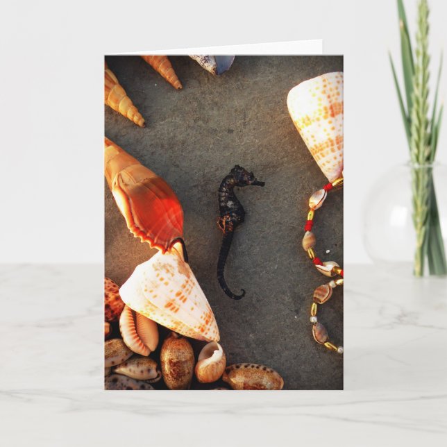 Tarjeta Festiva Conchas (Anverso)