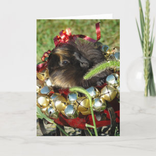 Tarjeta Festiva Conejillo de Indias de Jingle Bell
