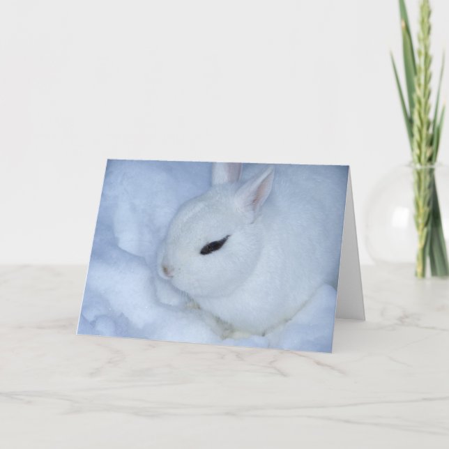 Tarjeta Festiva Conejito de la nieve (Anverso)