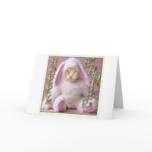 Conejito de pascua del gato Claude