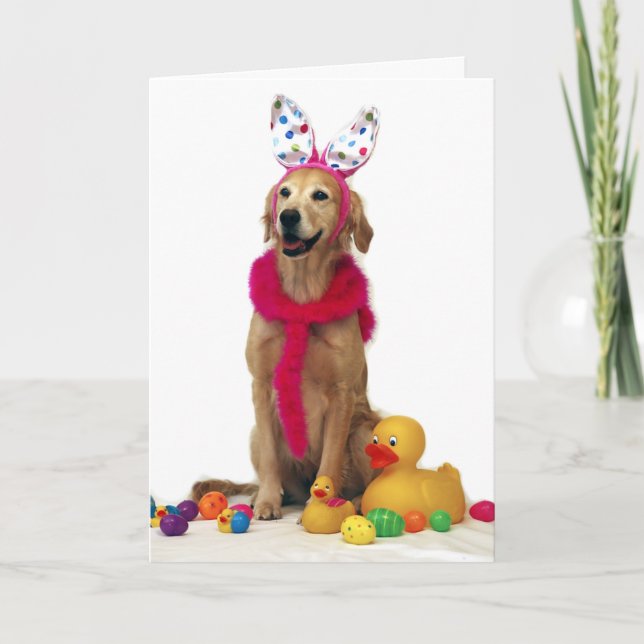 Tarjeta Festiva Conejito de pascua del golden retriever (Anverso)