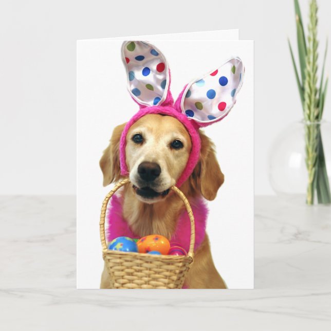 Tarjeta Festiva Conejito de pascua del golden retriever (Anverso)