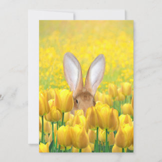 Tarjeta Festiva Conejito de pascua en tulipanes