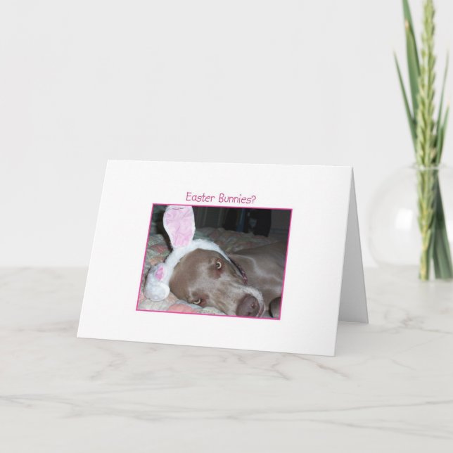 Tarjeta Festiva ¿Conejitos de pascua? ¡Embaucamiento de Bah! (Anverso)