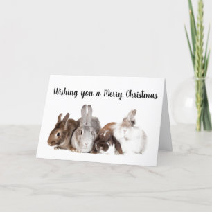 TARJETA FESTIVA CONEJITOS SE JUNTARON PARA DECIR **FELIZ NAVIDAD**