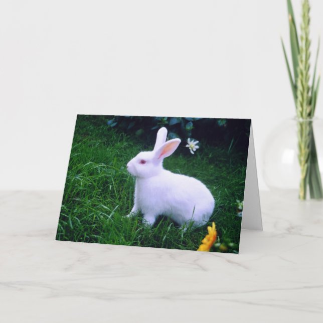 Tarjeta Festiva Conejo blanco de nieve (Anverso)