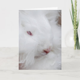 Tarjeta Festiva Conejo blanco de Pascua